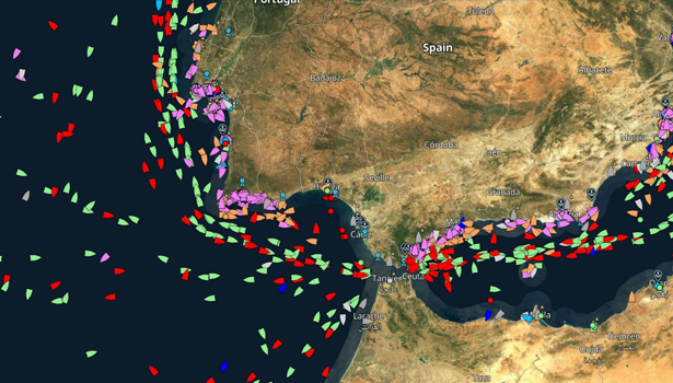 How Does ShipXplorer Stand Out From The Rest of the Competition ...